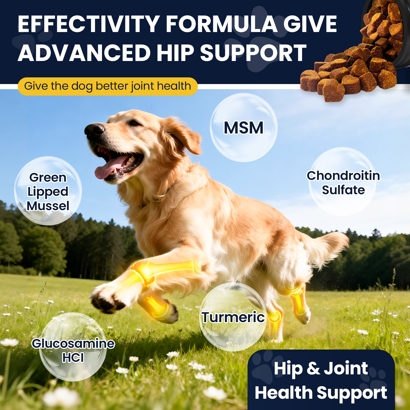 Dog running with joint-support ingredient highlights